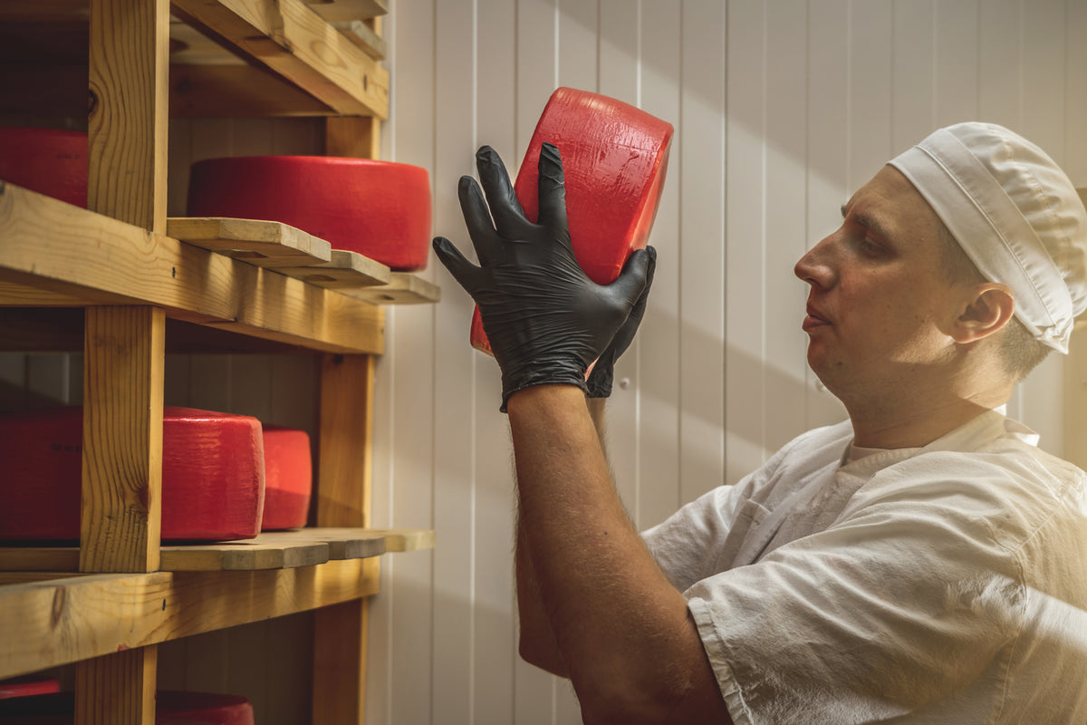 The Best Business Investment This Coming 2023? Disposable Gloves!
