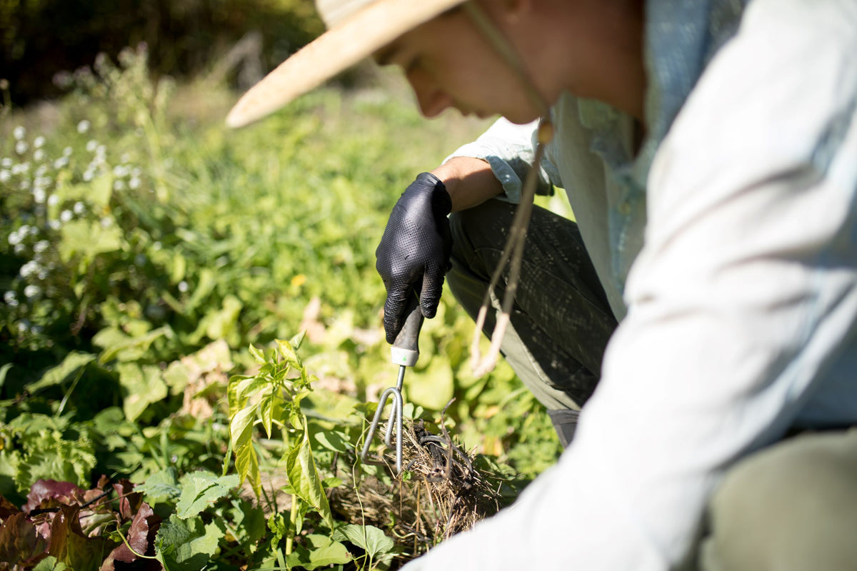 The Realities of Sustainability and Disposable Gloves
