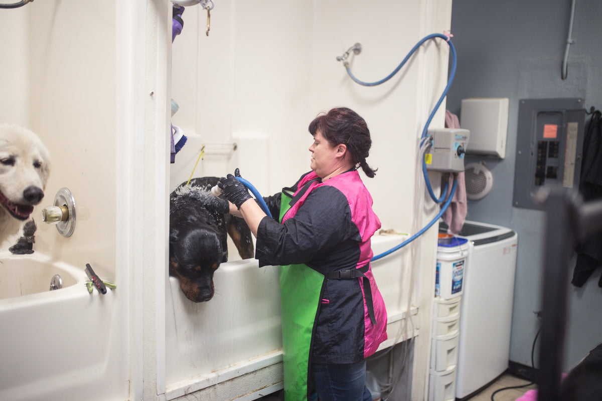 It’s No Mystery: Understanding Industrial, Exam Glove Distinctions