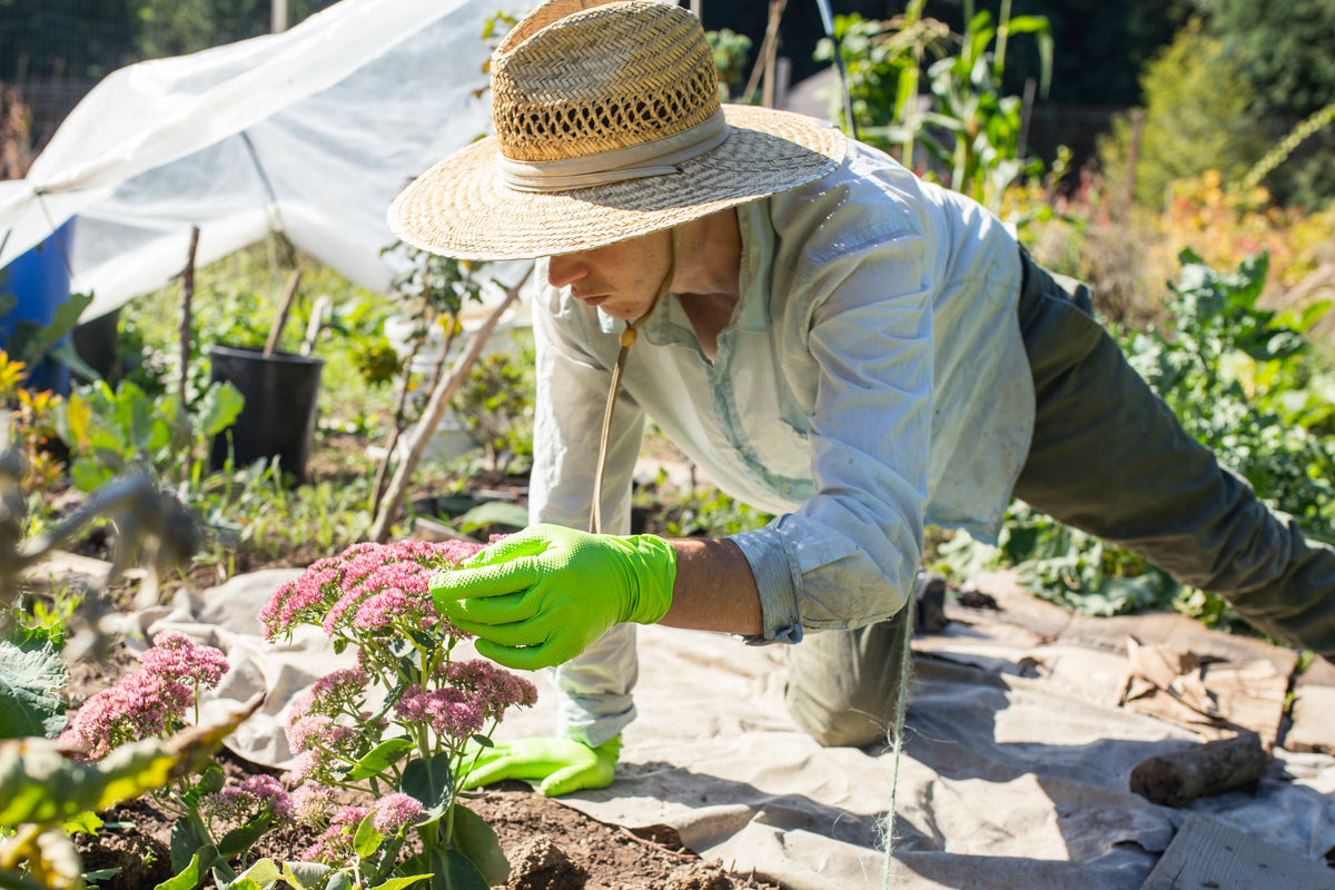 Gardening Hacks for the Winter Season