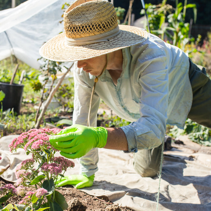Gardening Hacks for the Winter Season