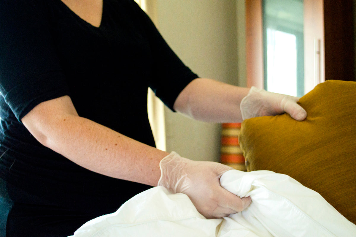 Pet Hair Removal Tips