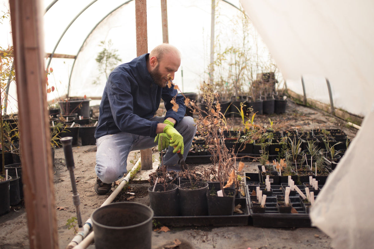 The Right Gloves for Agriculture